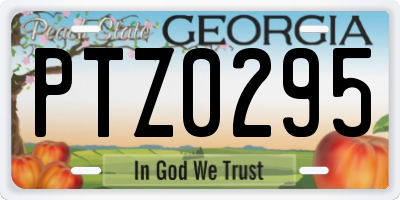 GA license plate PTZ0295