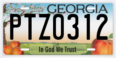 GA license plate PTZ0312