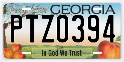GA license plate PTZ0394