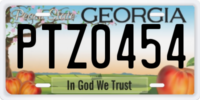 GA license plate PTZ0454