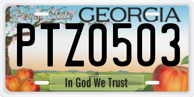 GA license plate PTZ0503