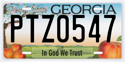 GA license plate PTZ0547