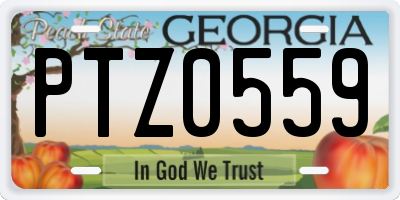 GA license plate PTZ0559