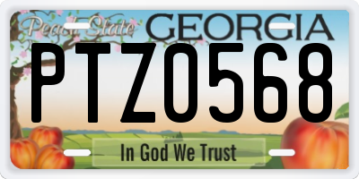 GA license plate PTZ0568