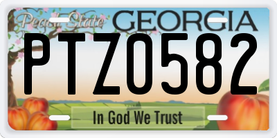 GA license plate PTZ0582