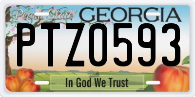 GA license plate PTZ0593