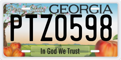GA license plate PTZ0598