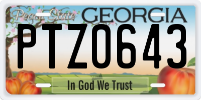 GA license plate PTZ0643