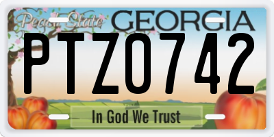 GA license plate PTZ0742