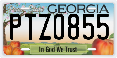 GA license plate PTZ0855