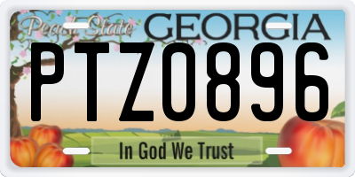 GA license plate PTZ0896