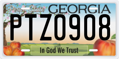 GA license plate PTZ0908