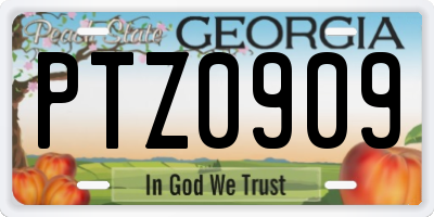 GA license plate PTZ0909
