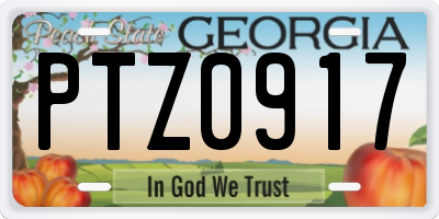 GA license plate PTZ0917