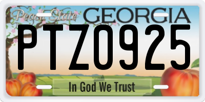 GA license plate PTZ0925