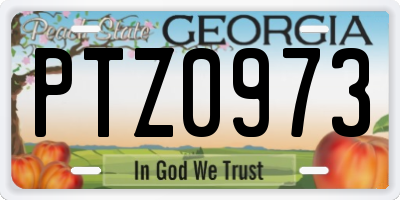 GA license plate PTZ0973