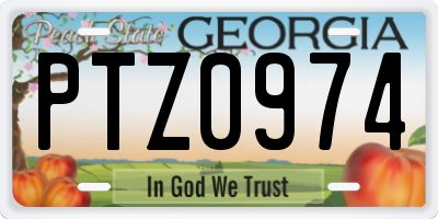 GA license plate PTZ0974