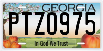GA license plate PTZ0975