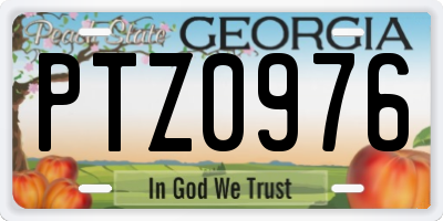 GA license plate PTZ0976