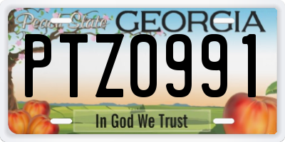 GA license plate PTZ0991