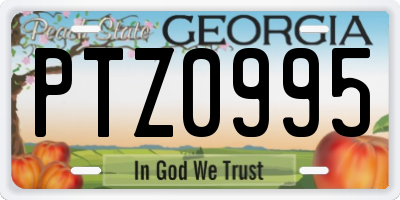 GA license plate PTZ0995