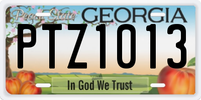 GA license plate PTZ1013