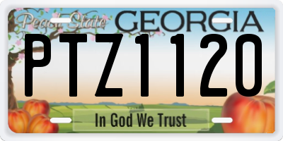 GA license plate PTZ1120