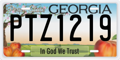 GA license plate PTZ1219