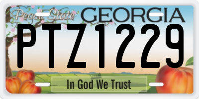 GA license plate PTZ1229