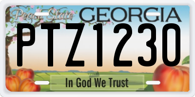 GA license plate PTZ1230