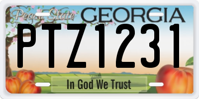 GA license plate PTZ1231