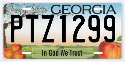 GA license plate PTZ1299