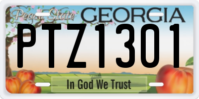 GA license plate PTZ1301
