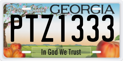 GA license plate PTZ1333