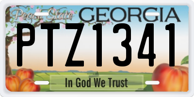 GA license plate PTZ1341