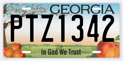 GA license plate PTZ1342