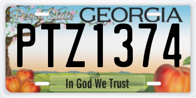 GA license plate PTZ1374