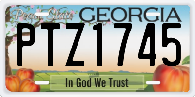 GA license plate PTZ1745