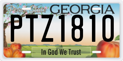 GA license plate PTZ1810