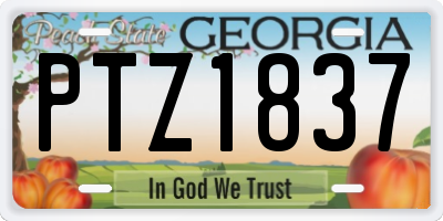 GA license plate PTZ1837