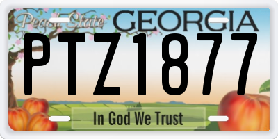 GA license plate PTZ1877