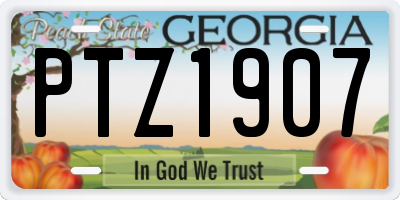 GA license plate PTZ1907