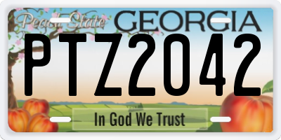 GA license plate PTZ2042