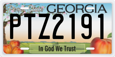 GA license plate PTZ2191