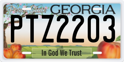 GA license plate PTZ2203