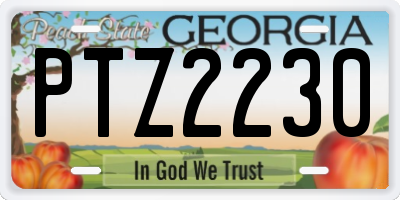 GA license plate PTZ2230