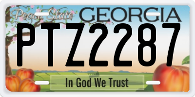 GA license plate PTZ2287