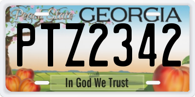 GA license plate PTZ2342