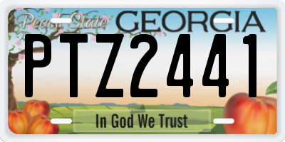 GA license plate PTZ2441