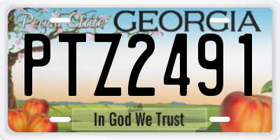 GA license plate PTZ2491
